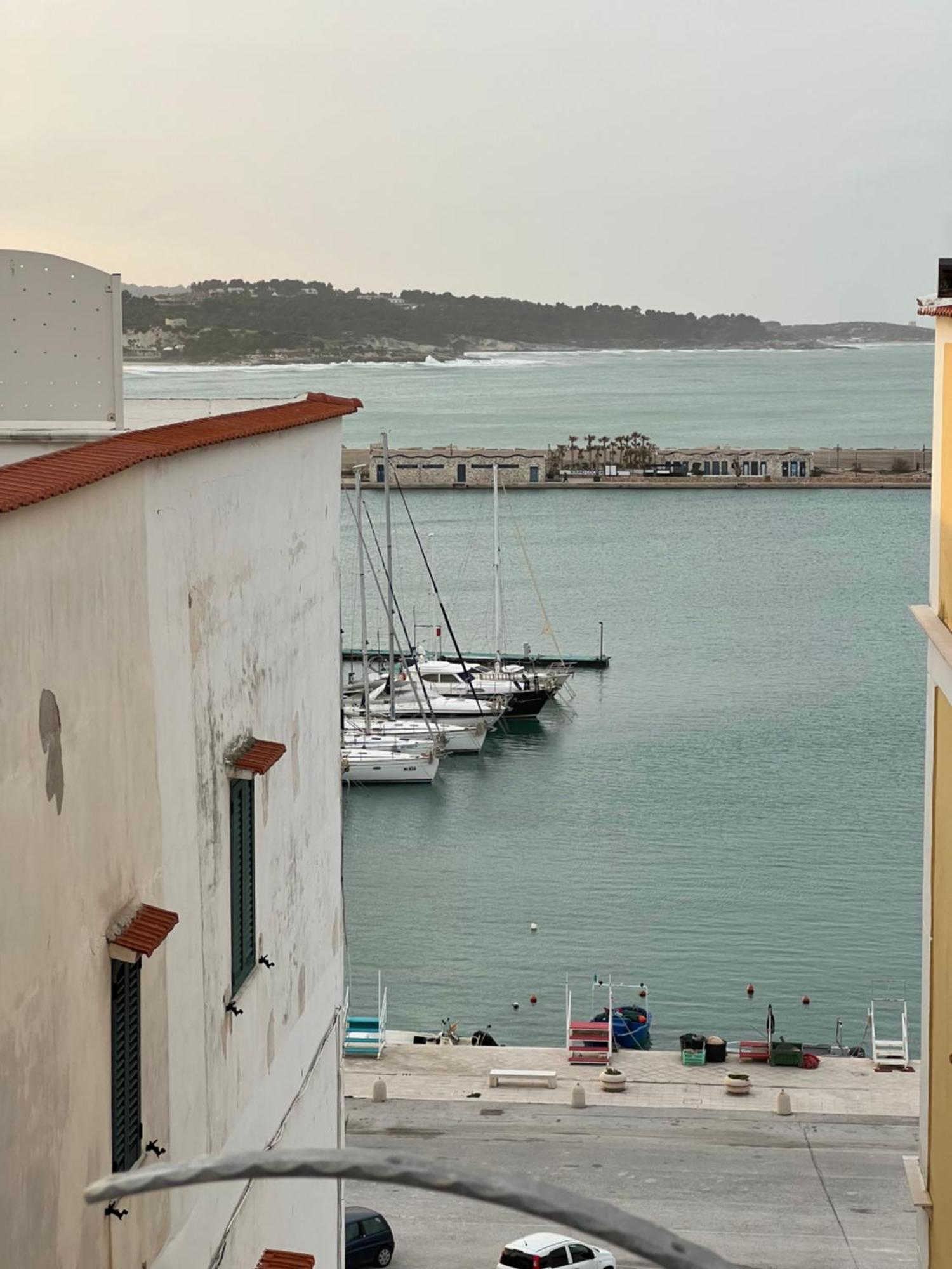 North Wind Luxury Home Vieste Eksteriør bilde
